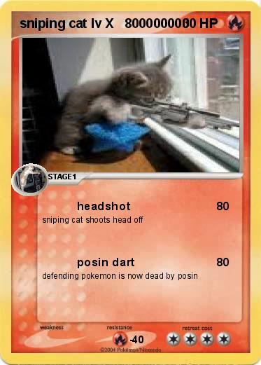Pokemon sniping cat lv X   800000000