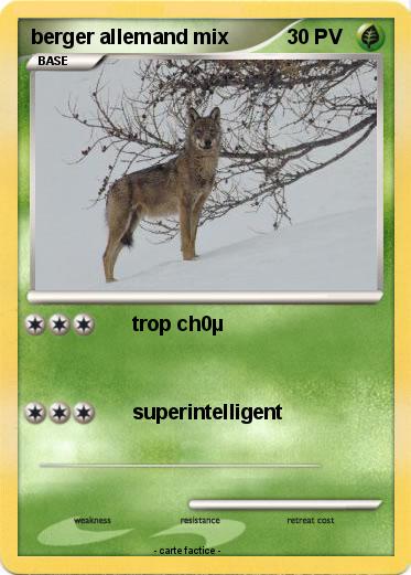 Pokemon berger allemand mix