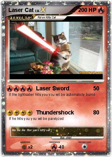 Pokemon Laser Cat