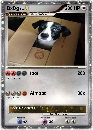 Pokemon BxDg