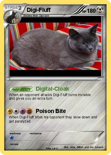 Pokemon Digi-Fluff