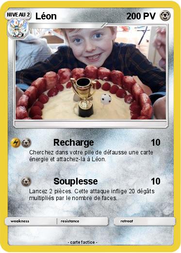 Pokemon Léon