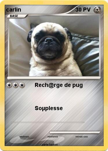 Pokemon carlin