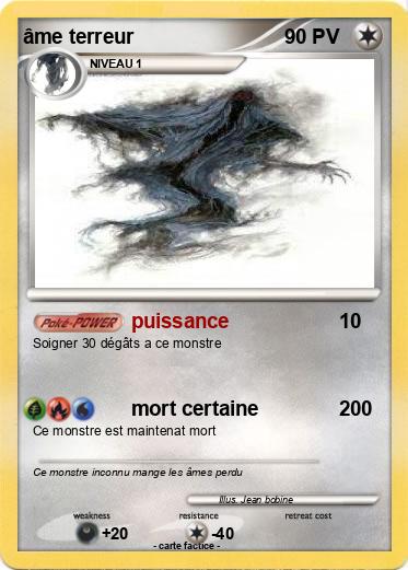 Pokemon âme terreur