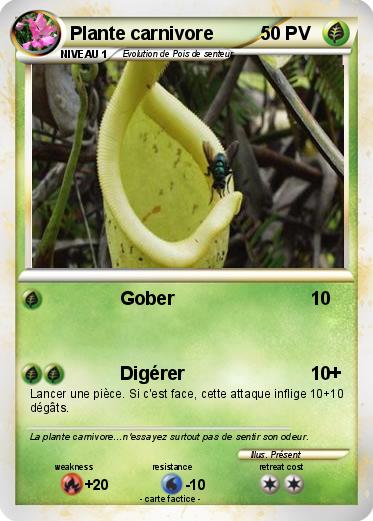 Pokemon Plante carnivore