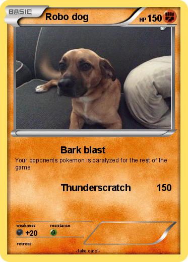 Pokemon Robo dog