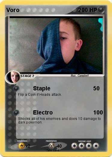 Pokemon Voro
