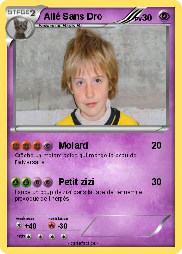 Pokemon Allé Sans Dro