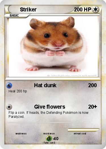 Pokemon Striker