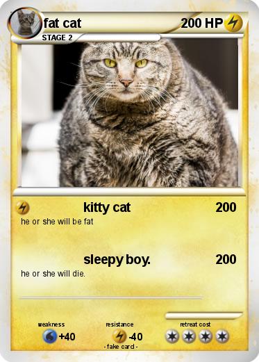 Pokemon fat cat
