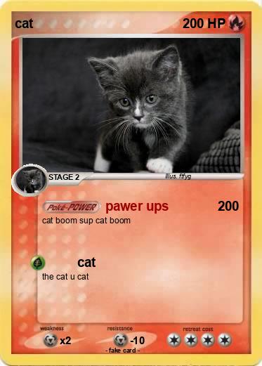 Pokemon cat