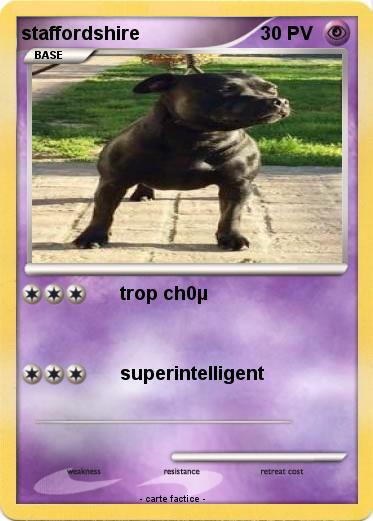 Pokemon staffordshire