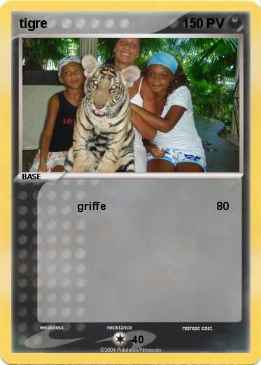 Pokemon tigre