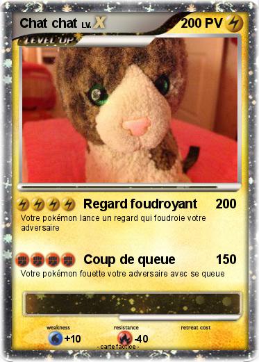 Pokemon Chat chat