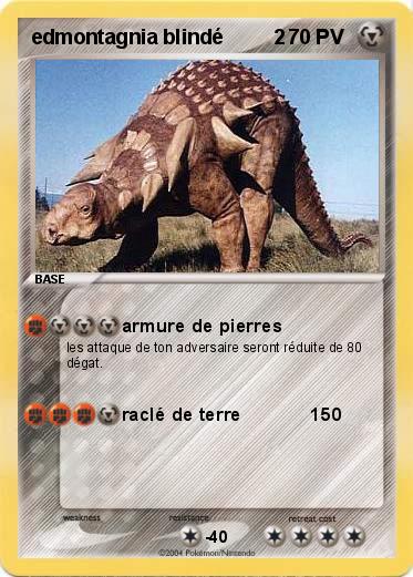 Pokemon edmontagnia blindé         2