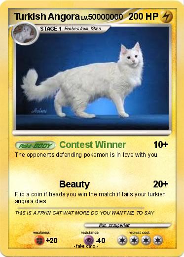 Pokemon Turkish Angora