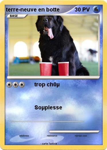 Pokemon terre-neuve en botte