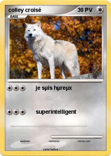 Pokemon colley croisé