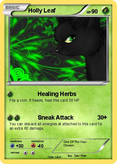 Pokemon Holly Leaf