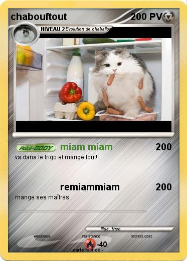 Pokemon chabouftout