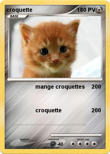 Pokemon croquette