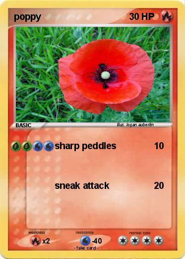 Pokemon poppy