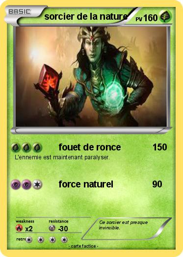 Pokemon sorcier de la nature