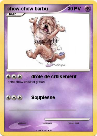 Pokemon chow-chow barbu