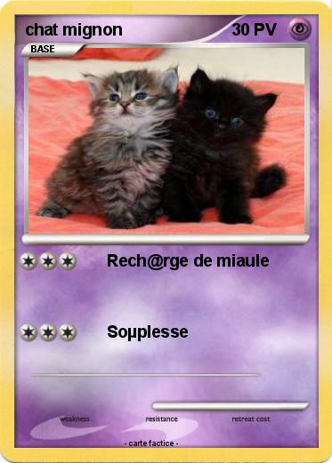 Pokemon chat mignon