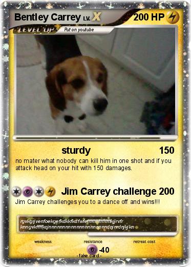 Pokemon Bentley Carrey