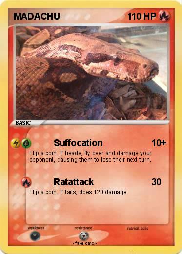 Pokemon MADACHU
