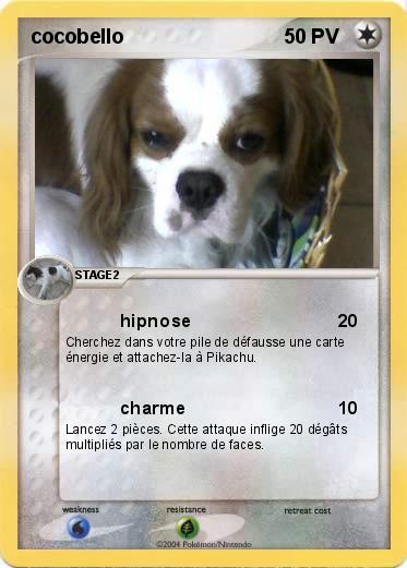 Pokemon cocobello
