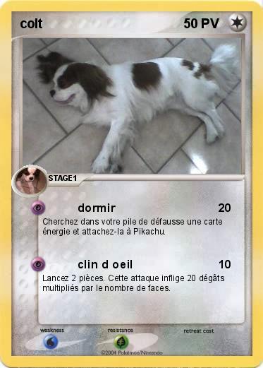 Pokemon colt