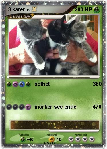 Pokemon 3 kater
