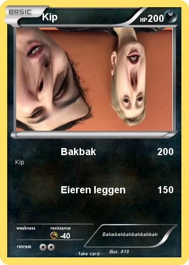 Pokemon Kip