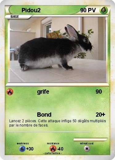 Pokemon Pidou2