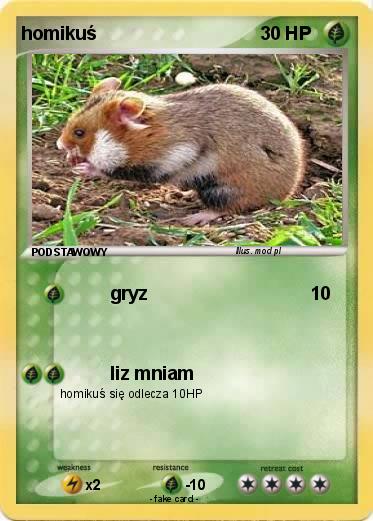 Pokemon homikuś