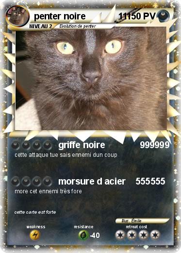 Pokemon penter noire             11