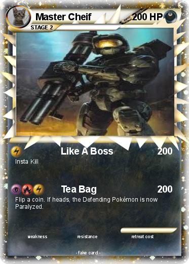 Pokemon Master Cheif