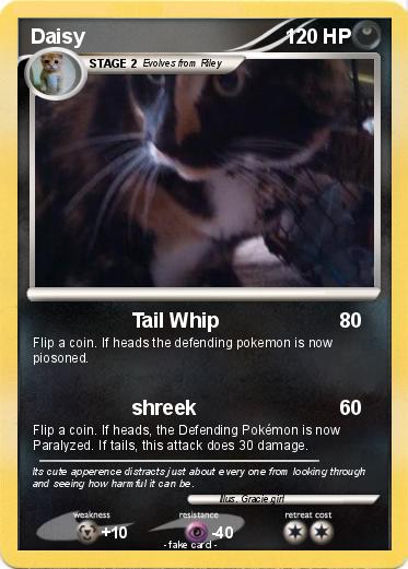 Pokemon Daisy