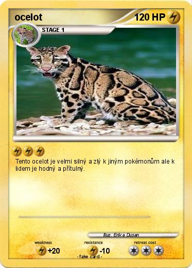 Pokemon ocelot