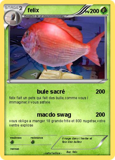 Pokemon felix