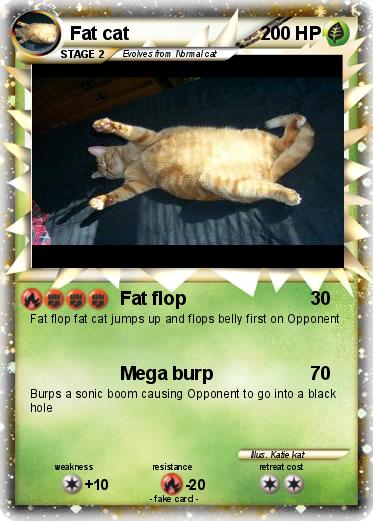 Pokemon Fat cat