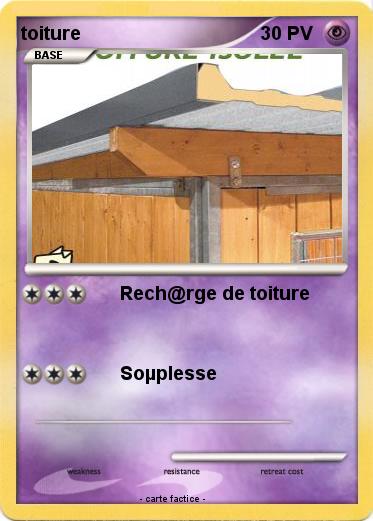 Pokemon toiture