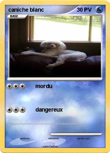 Pokemon caniche blanc