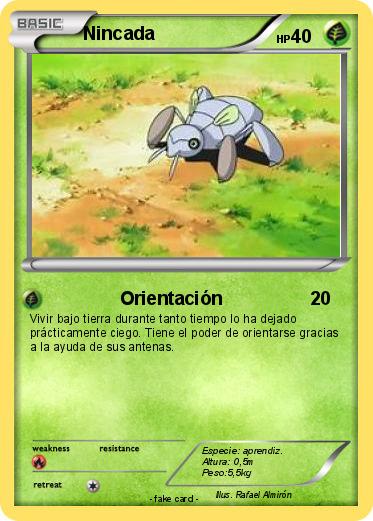 Pokemon Nincada