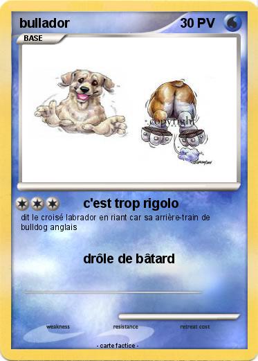 Pokemon bullador