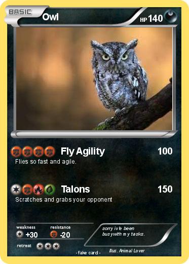 Pokemon Owl