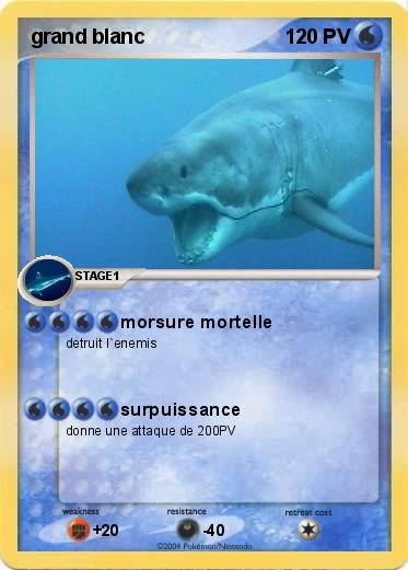 Pokemon grand blanc