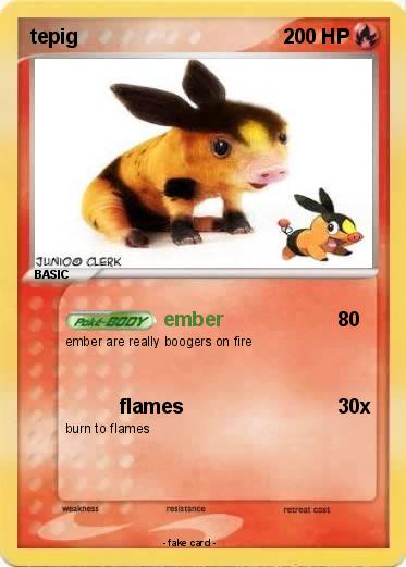 Pokemon tepig